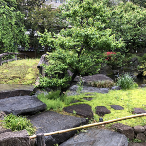 庭|618341さんの湯島天神の写真(1481932)