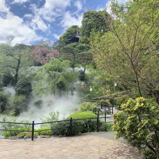 雲海の様子