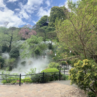 雲海の様子