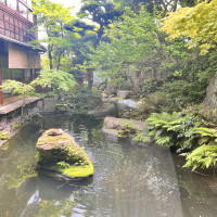 鴨もいる