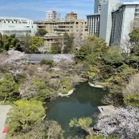 披露宴会場のエレベーターホールからの景色