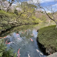 お庭