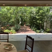 食事しながらお庭も見えます