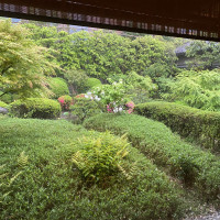 錦水からの庭の眺めです。