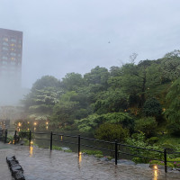 庭には雲海が出現します。