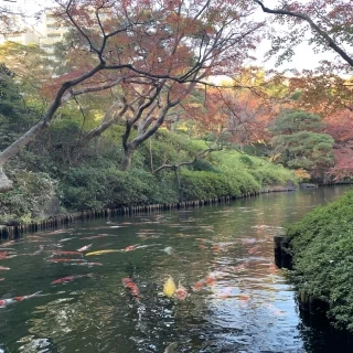 庭園