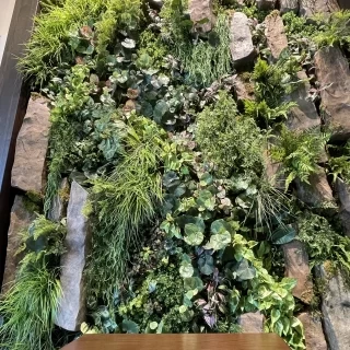 植物と熊本城の石垣のイメージが素敵でした。