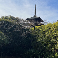 京都の歴史を感じれます