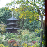 窓から椿山荘のお庭が見れます。