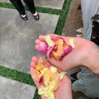 フラワーシャワーのお花