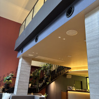 2階へあがる階段にも植物がたくさん