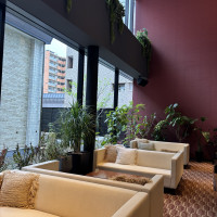 植物がたくさんで目に優しい