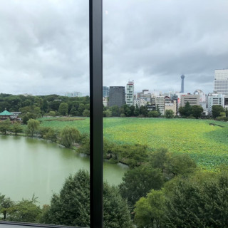会場から外の景色。不忍池。