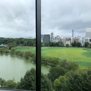 会場から外の景色。不忍池。