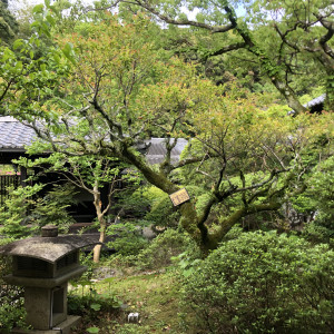 披露宴会場に行く途中の庭|620454さんの葛城 北の丸の写真(1478713)