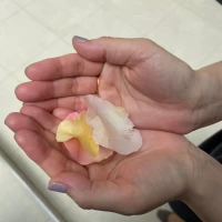 フラワーシャワー