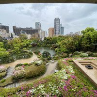 広々とした日本庭園