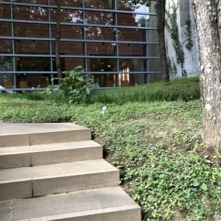 チャペルまでの道のり