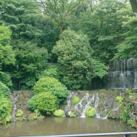 庭園内の滝