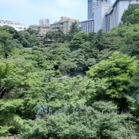 エレベーターホールから見える緑