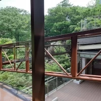 エレベーターホールから見えるテラス