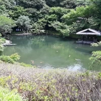 庭園の池
