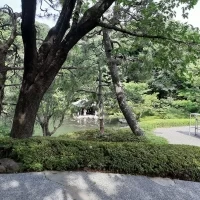 庭園