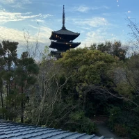 庭園から見える八坂の塔