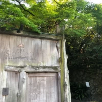 門