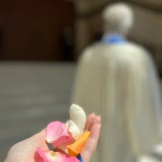 フラワーシャワー