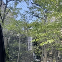 会場内にある滝