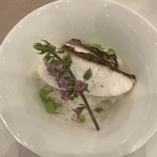 〆の鯛茶漬け