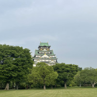 庭園からは大阪城を正面から観れる