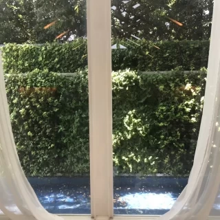 チャペルの窓から