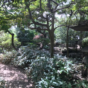 庭|622646さんのYOKKAICHI HARBOR 尾上別荘の写真(1499038)