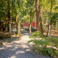 椿会館から本殿へ向かう途中(椿会館寄りの道)