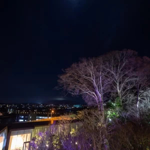 昼間の景色とはまた違う良さの庭園ライトアップ|623438さんの辻家庭園 ～前田家家老旧横山家迎賓館～（金沢市指定文化財）の写真(1888024)