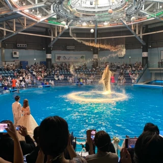 イルカショーでの挙式