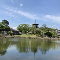 猿沢池、五重塔がとても綺麗です
