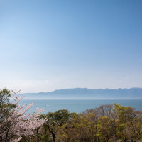琵琶湖・山・桜一望