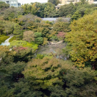 紅葉の時期はもっと綺麗なようです。