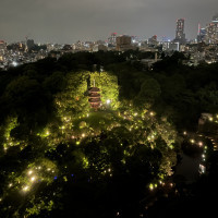 部屋からの夜景