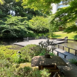 晴れていると緑が映えて良い写真が撮れそう