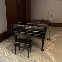 ピアノを入れることができます