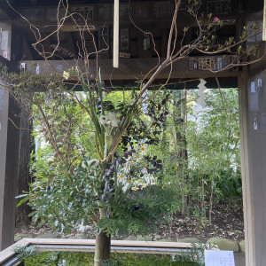 季節により変わります|624074さんの赤坂 氷川神社の写真(1527157)