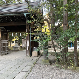 門|624074さんの赤坂 氷川神社の写真(1527158)