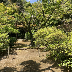 緑が綺麗です|624130さんの旧松本邸(西日本工業倶楽部)の写真(1509924)
