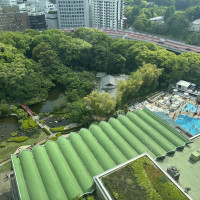 庭園