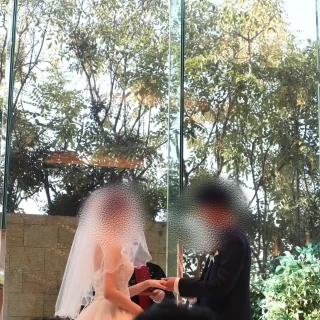 自然光とグリーンが美しいです
