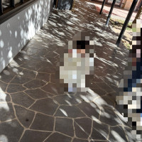 チャペルに入るまでの道